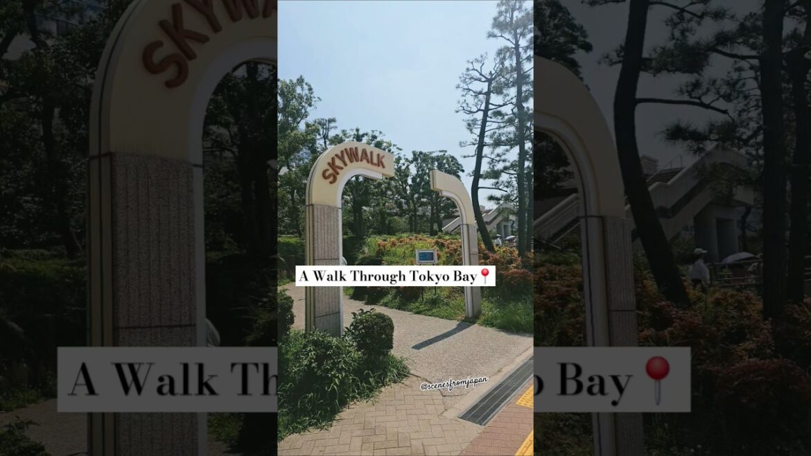A Walk Through Tokyo Bay📍🇯🇵 #tokyobay #tokyo #odaiba #explore #attractions