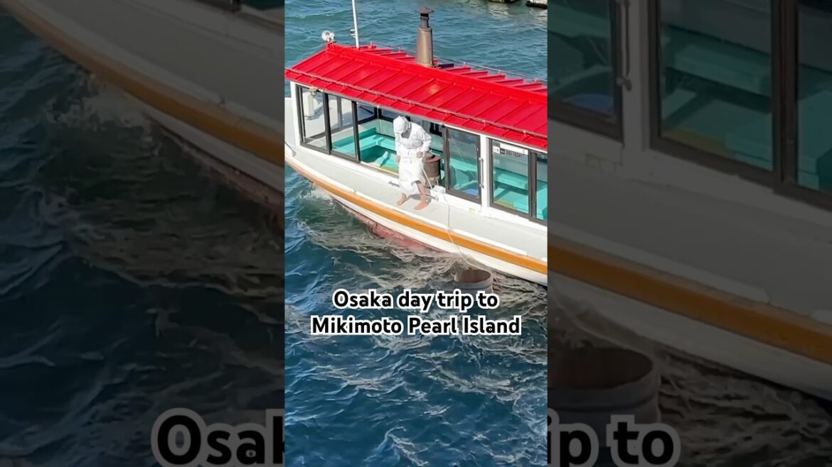 See female Japanese pearl divers at Mikimoto Pearl Island 🫶🏼🌊 #discoverjapan