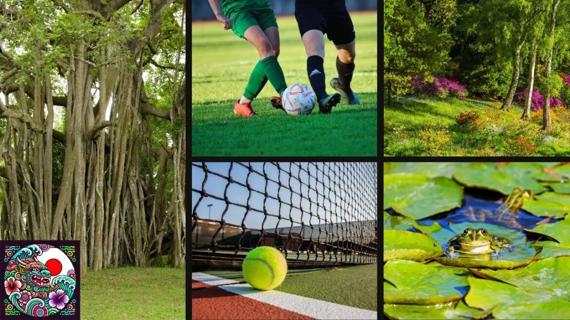 The Largest SPORTS PARK in Okinawa, JAPAN | ASMR Walking Tour with English Subtitles The Largest SPORTS PARK in Okinawa, JAPAN | ASMR Walking Tour with English Subtitles