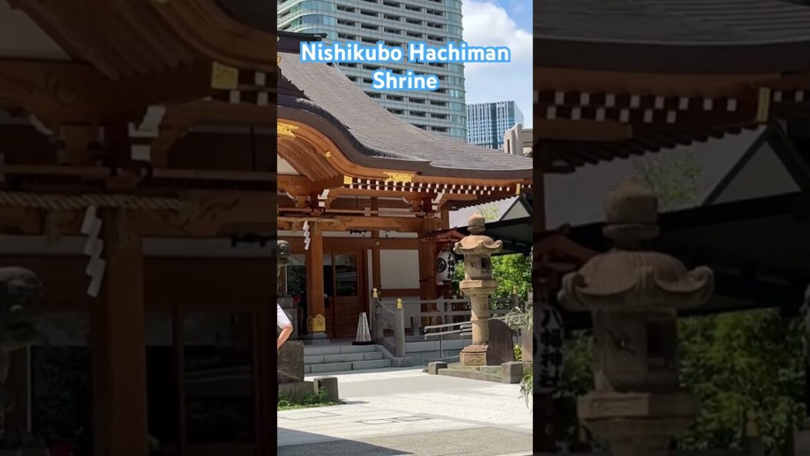 Nishikubo Hachiman Shrine Tokyo #tokyo #japan # #anime #恋愛 #travel #旅行 #japan #asiantravel #tokyo