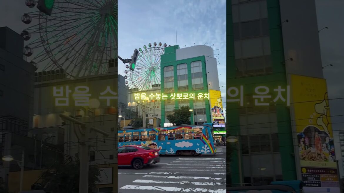 삿뽀로 9월 여행/ 푸른 하늘과 스즈키노 야경  Sapporo Travel / September Sky & Susukino Night