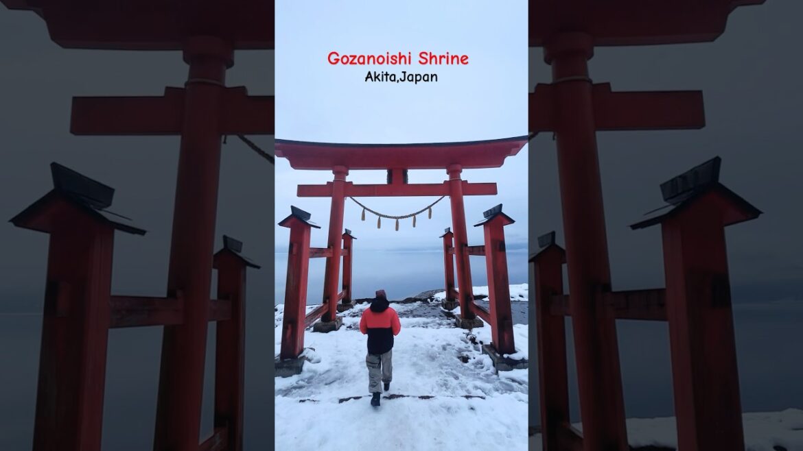 Gozanoishi Shrine in ❄️🌨️😍#japan #akita #tohoku #japantravel #japanvlog #japanese #japaneseculture