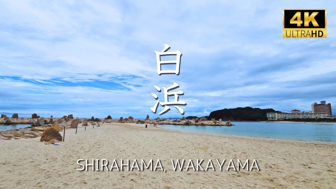 [ WAKAYAMA ] Spending a day at Shirahama beach and a interesting fish market #shirahama #wakayama
