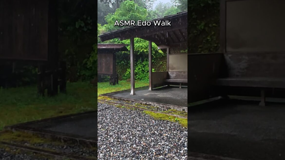 Edo Nakasendo Walk in the Rain  #japan #4kuhd #animals #travel #edoperiod #samurai #asmr #asmrwalk