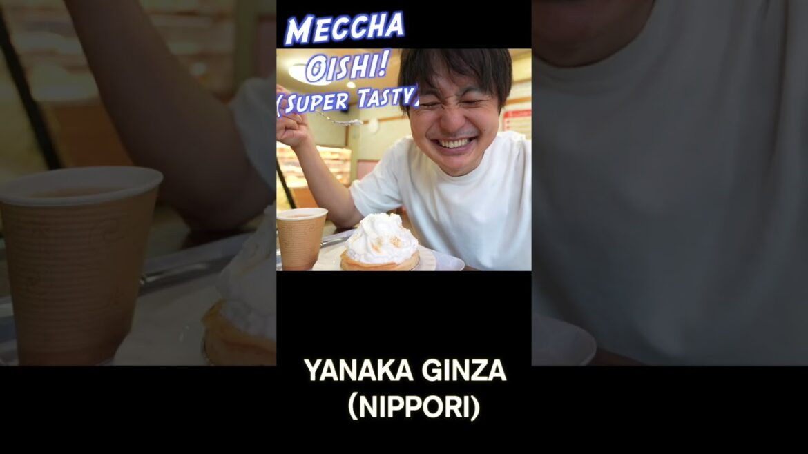 Tokyo Local Arcades You should Visit! #travel #japanesefood Tokyo Local Arcades You should Visit! #travel #japanesefood