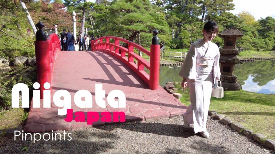 Travel to Niigata City | E15 "Yamato Nadeshiko" | Pinpoints