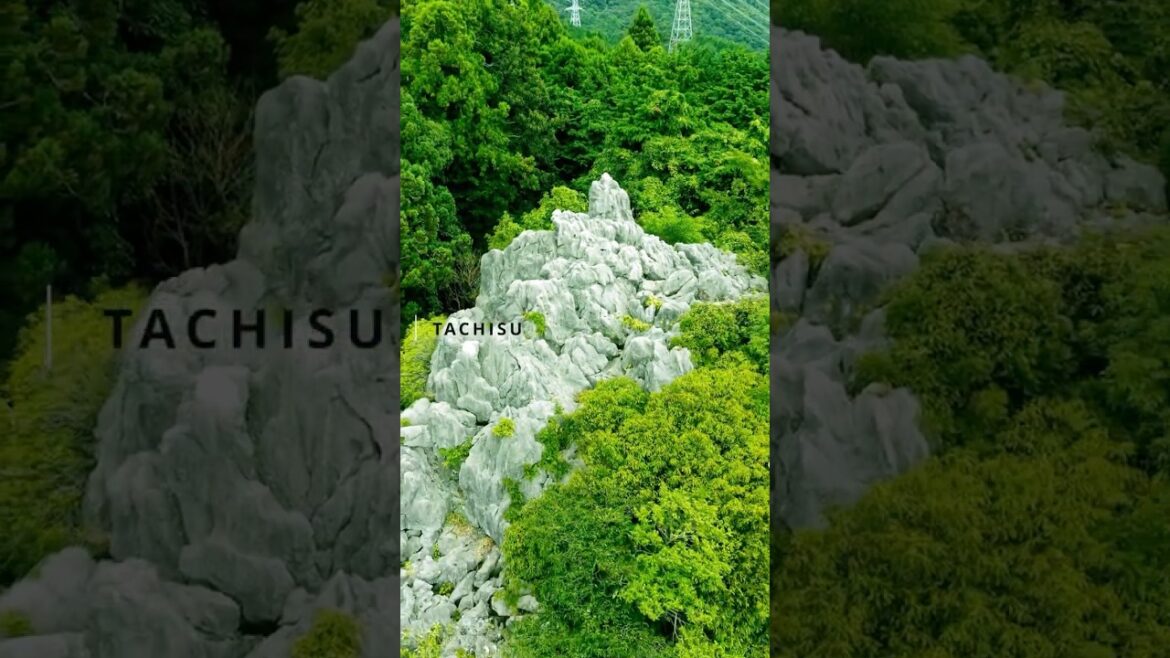 山を登った先に待つ圧巻の景色、立須の絶景を体感せよ ⛰️ #山登り #立須 #絶景スポット #HiddenJapan #adventure