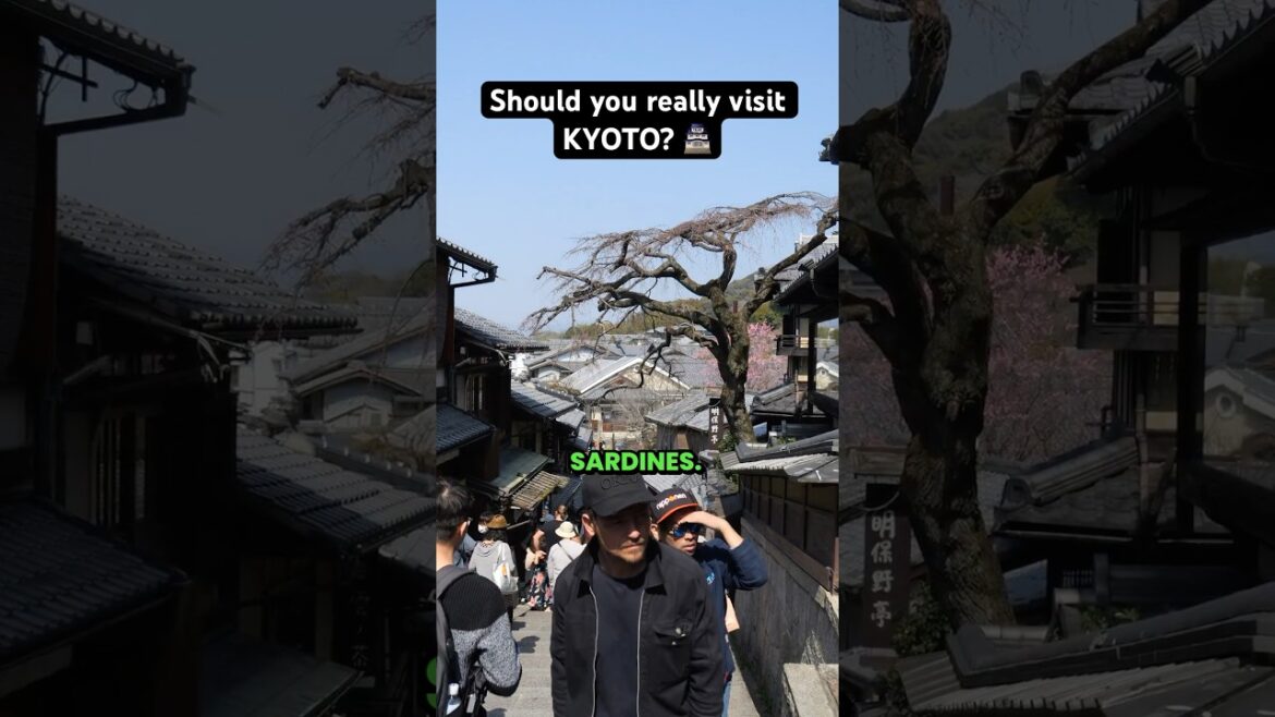 Should you visit Kyoto? Tour guide weighs in #japantravel #japan #kyoto Should you visit Kyoto? Tour guide weighs in #japantravel #japan #kyoto