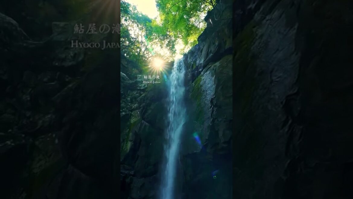 淡路島随一の滝は気軽に自然を感じれてマイナスイオンたっぷりでした! 鮎屋の滝 Aiya Falls #shorts #waterfall #japan #滝 #絶景 淡路島随一の滝は気軽に自然を感じれてマイナスイオンたっぷりでした! 鮎屋の滝 Aiya Falls #shorts #waterfall #japan #滝 #絶景