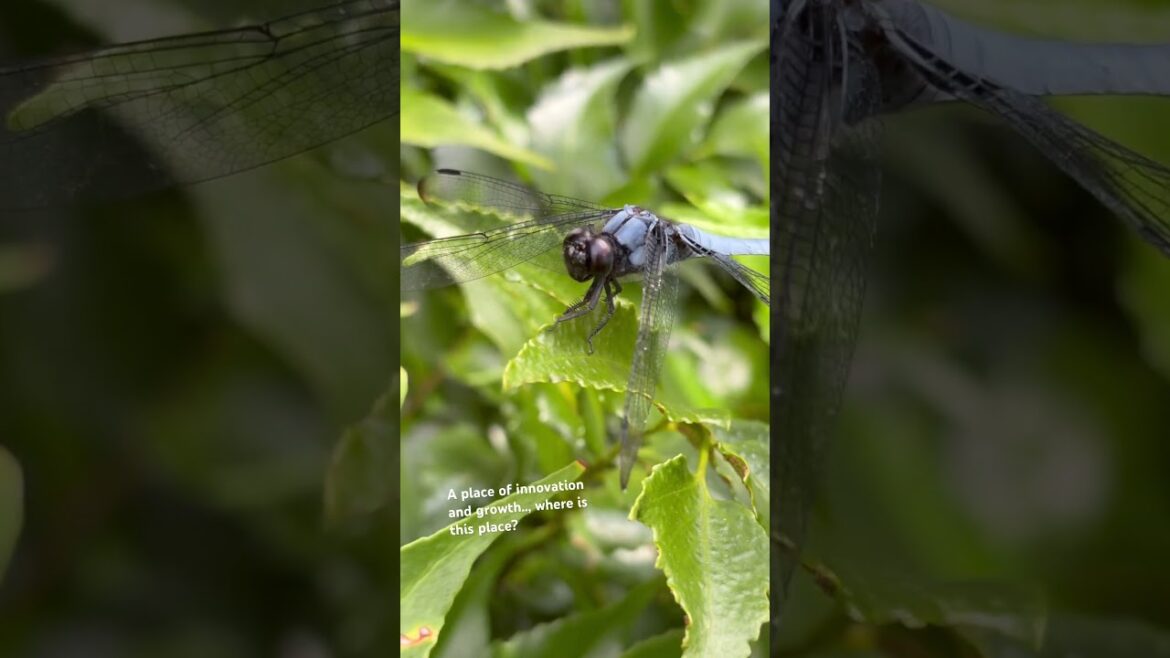 Guest this location.. hint: it rhymes with lover. Guest this location.. hint: it rhymes with lover.