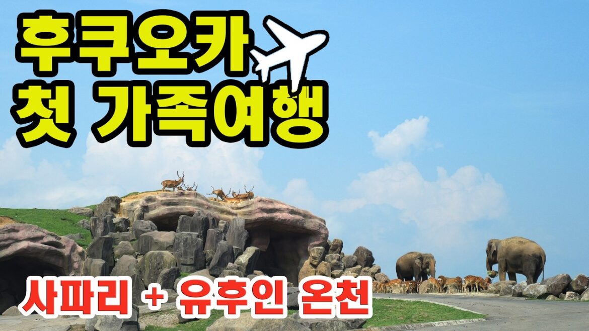 “2가족의 후쿠오카 여행기🚗 사파리·온천·맛집 총집합!”