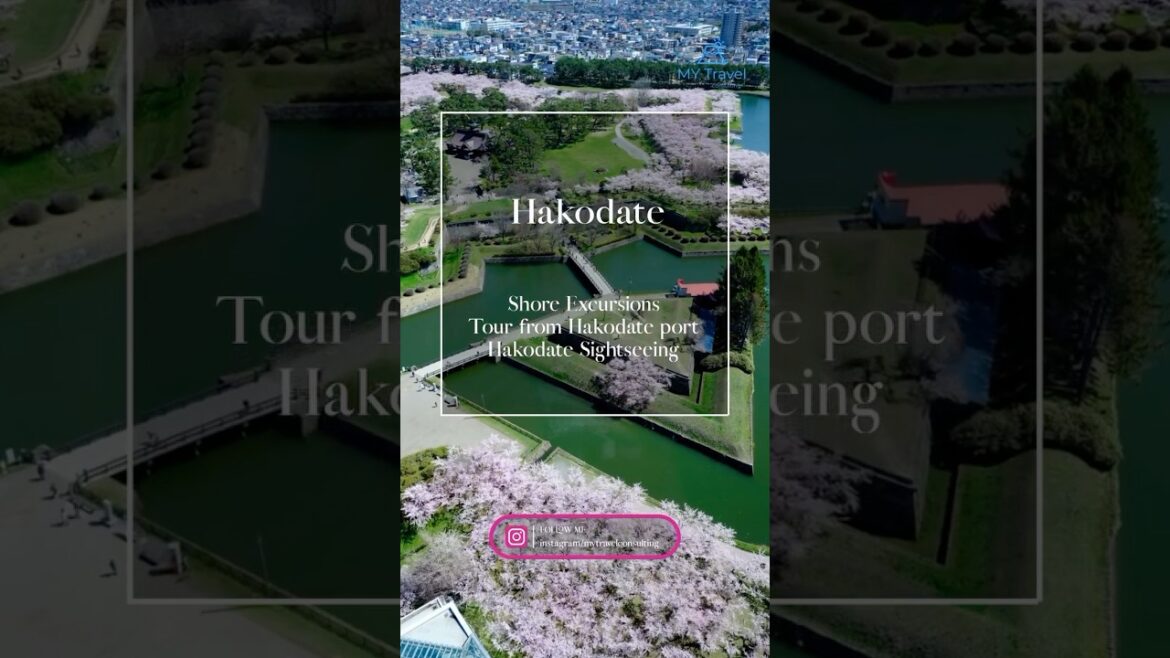 ★Shore Excursions in Japan★Tour from Hakodate port