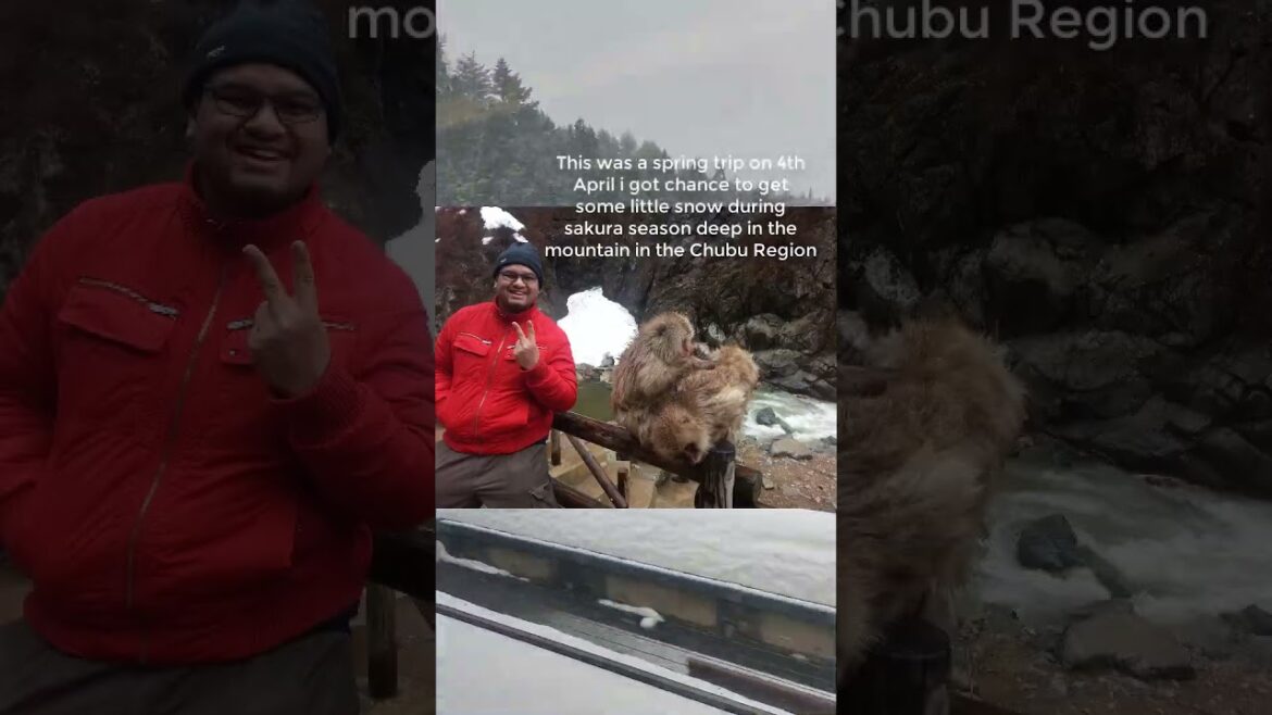 I’ve completed the 2nd train Journey of the day & arrived in Shin Aomori Next JR OU Line to Kawabe I've completed the 2nd train Journey of the day & arrived in Shin Aomori Next JR OU Line to Kawabe