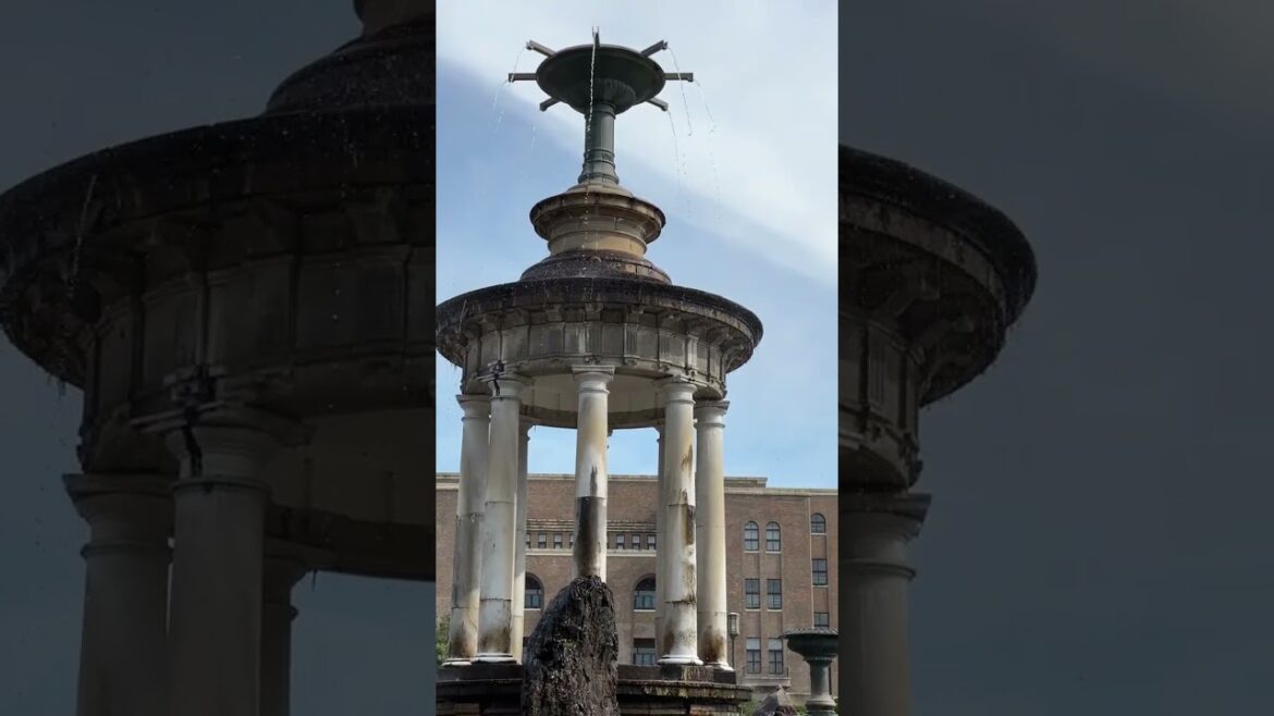 ⛲朝の鶴舞公園を散歩♪「噴水塔」輝く水しぶき♪|2025年8月 ⛲朝の鶴舞公園を散歩♪「噴水塔」輝く水しぶき♪|2025年8月