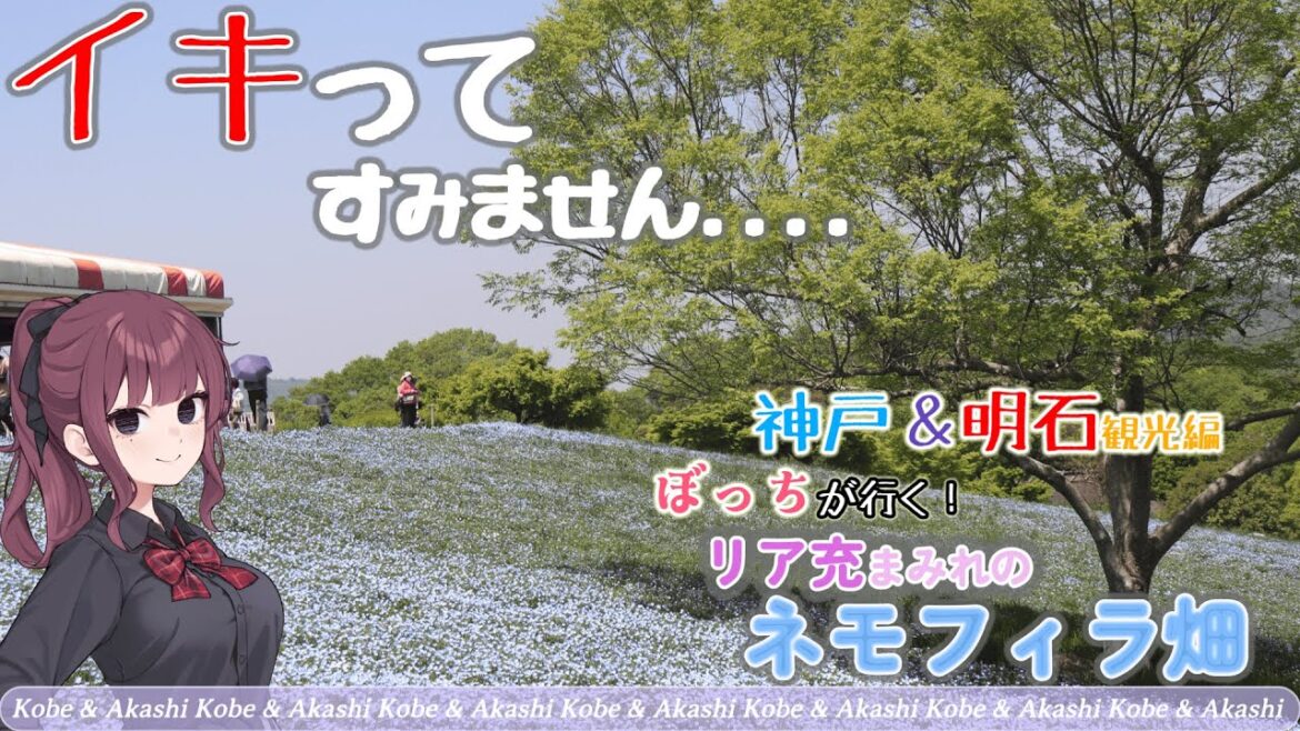 【なす旅】ぼっちのオススメ!神戸の新デートスポット! ? 神戸&明石をぶらり日帰り旅 【VOICEROID実況】 【なす旅】ぼっちのオススメ!神戸の新デートスポット! ? 神戸&明石をぶらり日帰り旅 【VOICEROID実況】