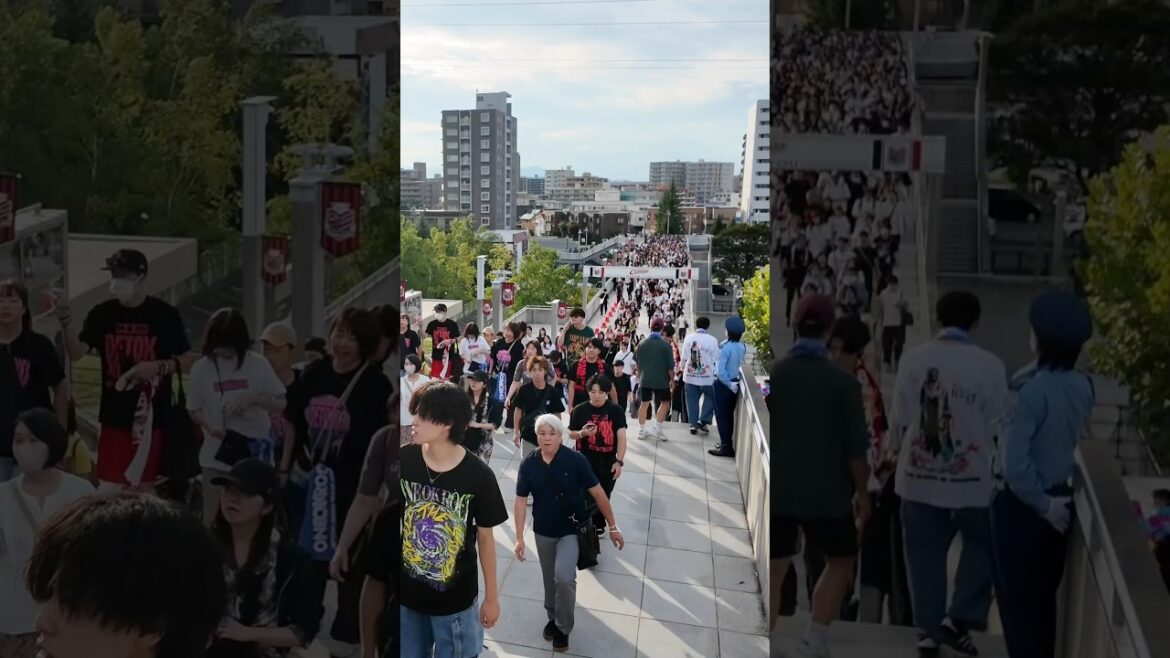 ONE OK ROCK DETOX JAPAN TOUR 2025🇯🇵 in 札幌