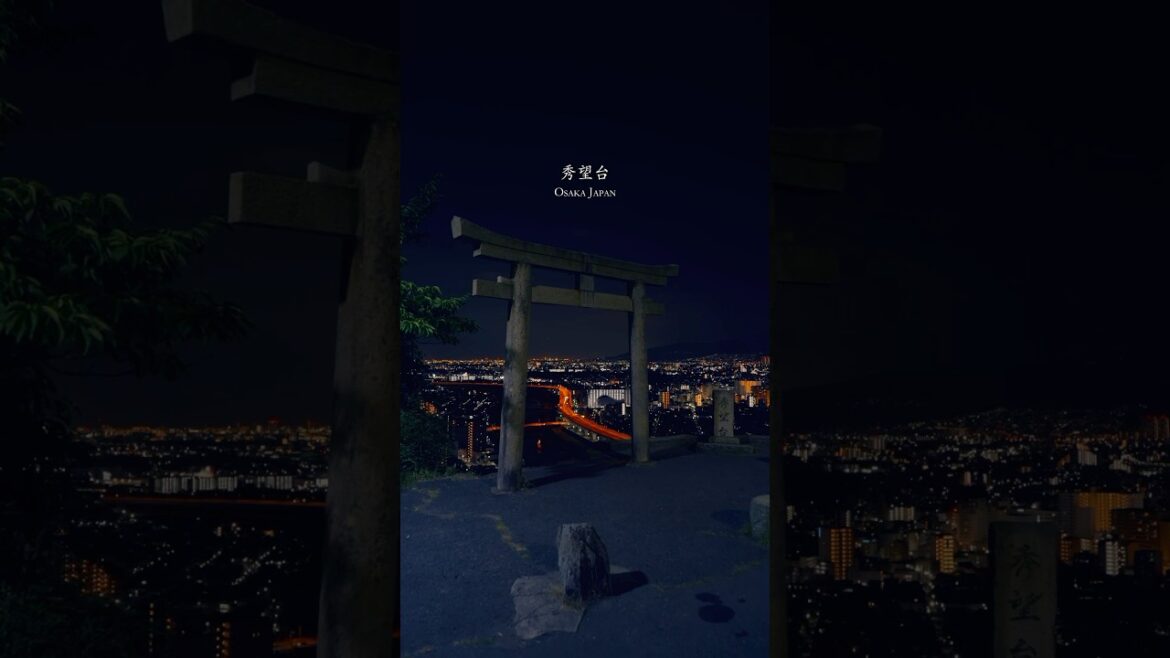 鳥居と夜景のコラボが美しい大阪の絶景スポット!秀望台 Shubodai #shorts #travel #nightview #osaka 鳥居と夜景のコラボが美しい大阪の絶景スポット!秀望台 Shubodai #shorts #travel #nightview #osaka