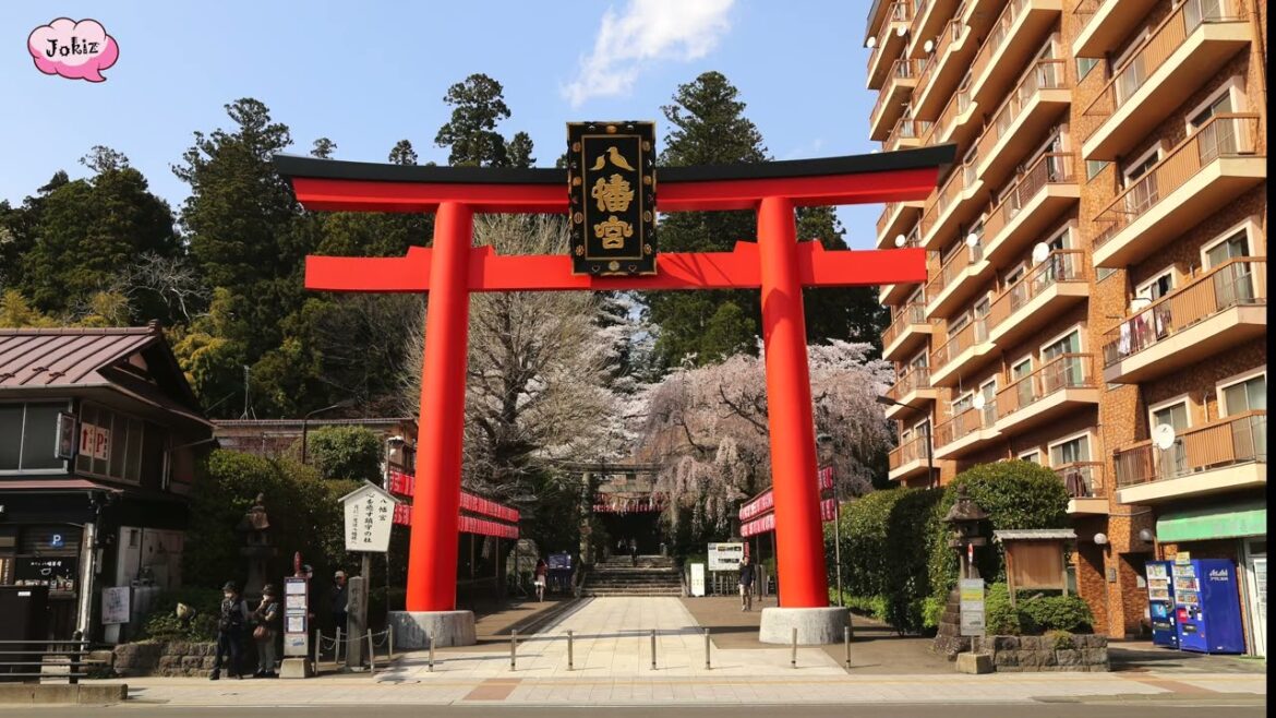 日本自駕遊 宮城縣 仙台 榴岡公園 大崎八幡宮 仙台城跡|Japan Road Trip Miyagi Prefecture Sendai Sakura 2025-04 日本自駕遊 宮城縣 仙台 榴岡公園 大崎八幡宮 仙台城跡|Japan Road Trip Miyagi Prefecture Sendai Sakura 2025-04