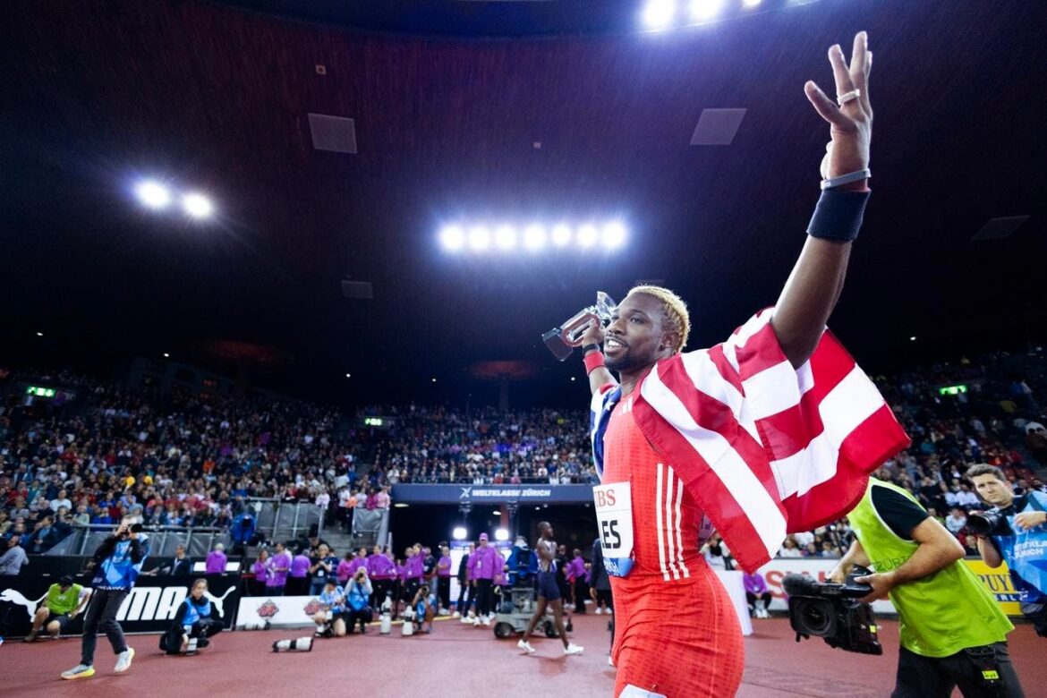 Everything You Need To Know