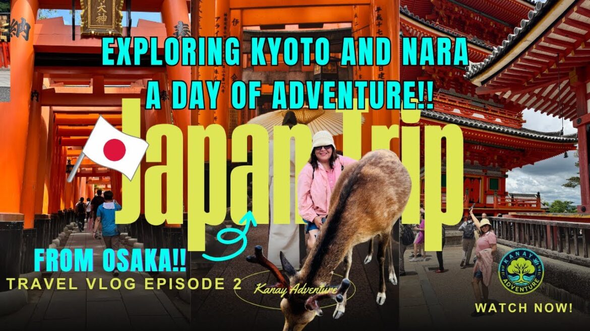 KYOTO & NARA | EP2 Japan Travel Vlog 🇯🇵Exploring Kyoto & Nara | A Day Adventure from Osaka! KYOTO & NARA | EP2 Japan Travel Vlog 🇯🇵Exploring Kyoto & Nara | A Day Adventure from Osaka!