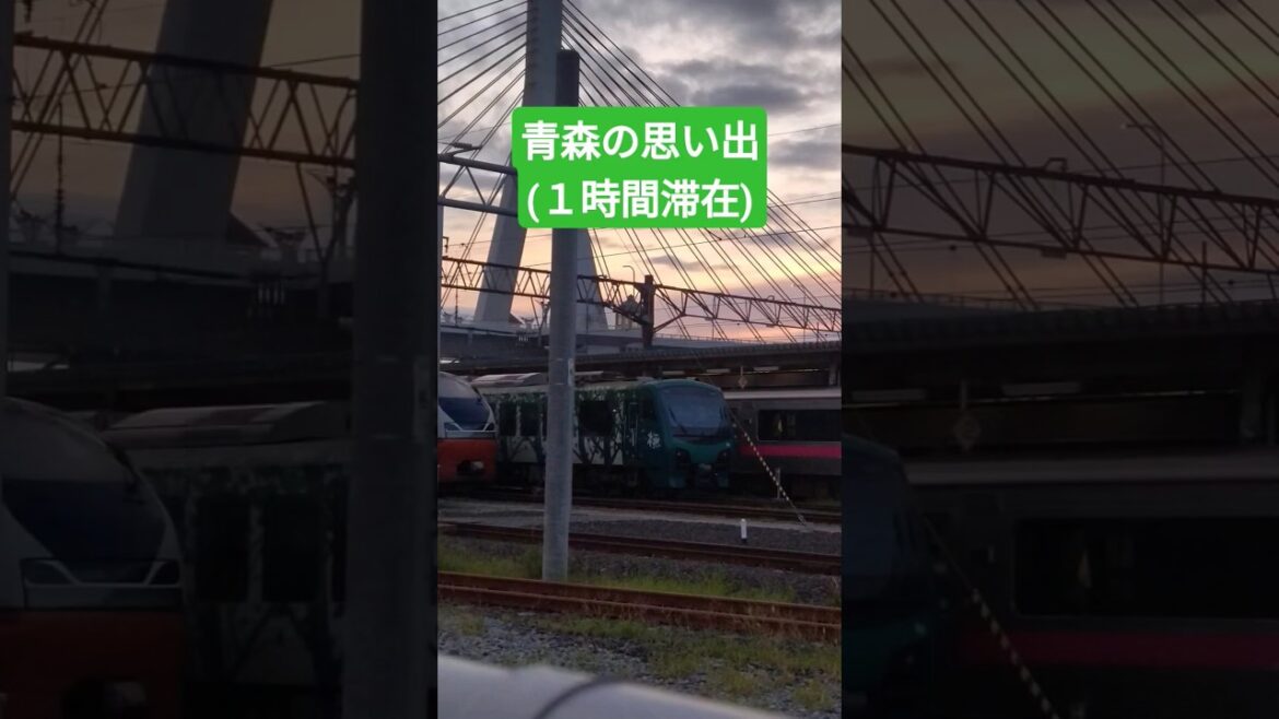 【青森旅行】青森での記憶　#青森　#JR東日本　#ねぶた