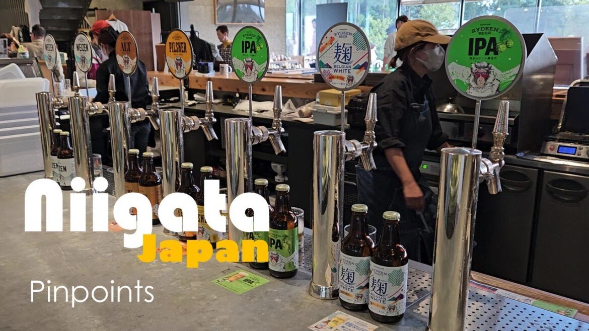 Niigata Beer Tour | E14 "She Gon' Be Drunk in the Temple" | Pinpoints