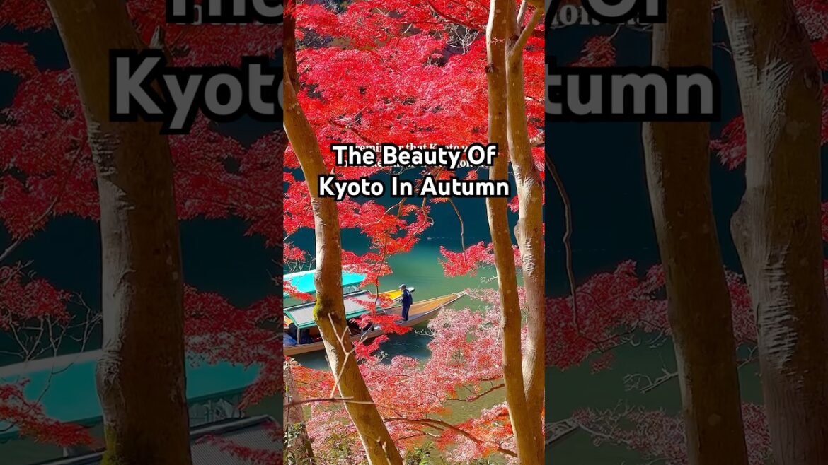 Autumn in Kyoto, Japan 🇯🇵 #kyototravel #kyototrip #kyotosightseeing #japantravel #autumncolors