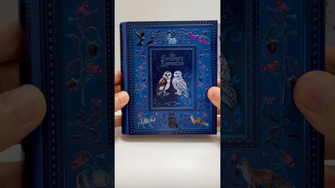 Halloween Witchcraft Book Tin Cookie for Sorcerer's Apprentice Blue #shorts