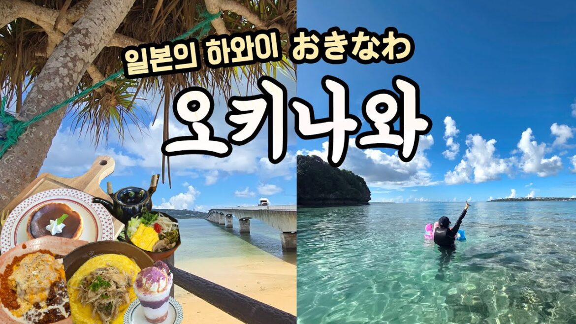 [vlog] 오키나와 여행, 스노쿨링 감탄 스팟🏖 (현실 날씨, 렌트카 일본 운전 적응기)