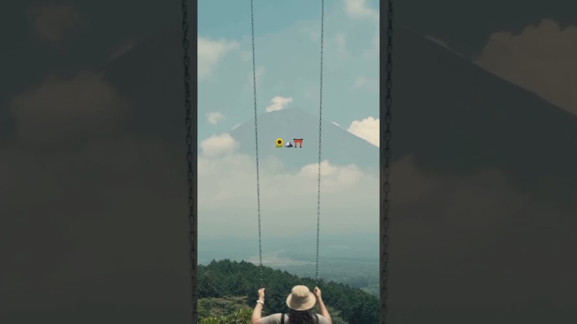 Mt. Fuji trip close to Tokyo #shizuoka