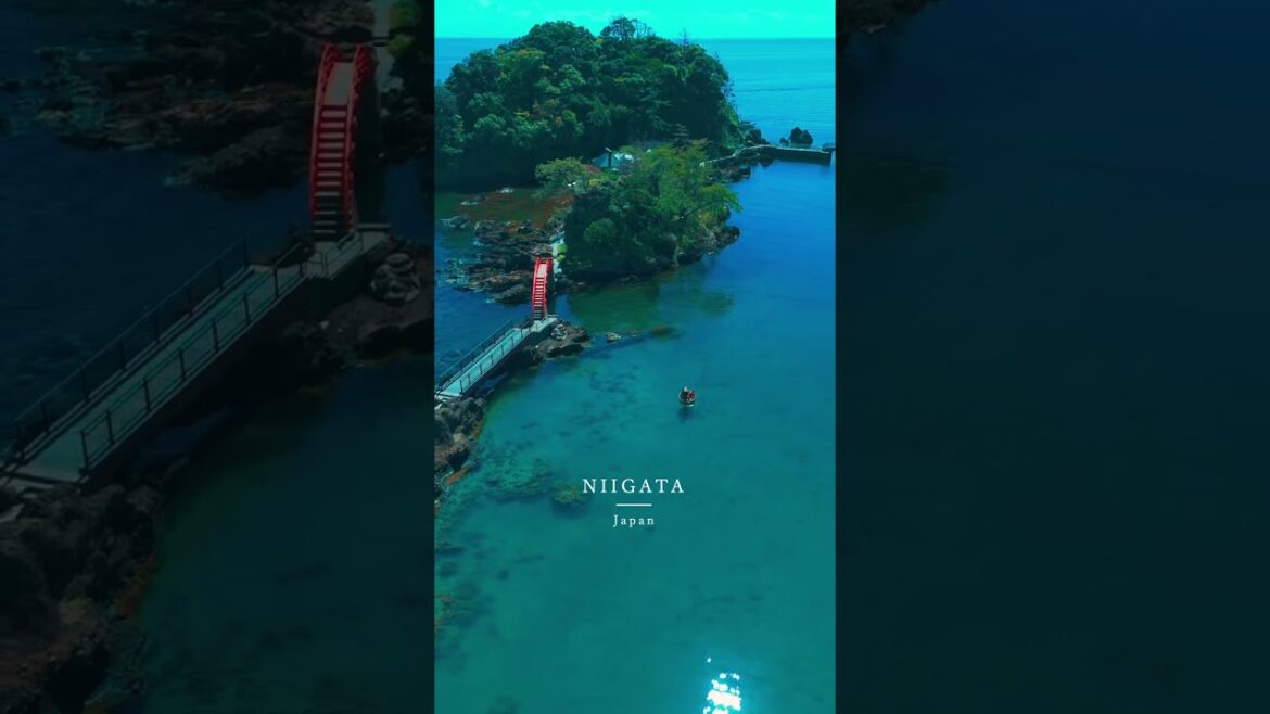 📍Tarai Bune Rides – たらい舟Niigata, 📍Tarai Bune Rides – たらい舟Niigata,