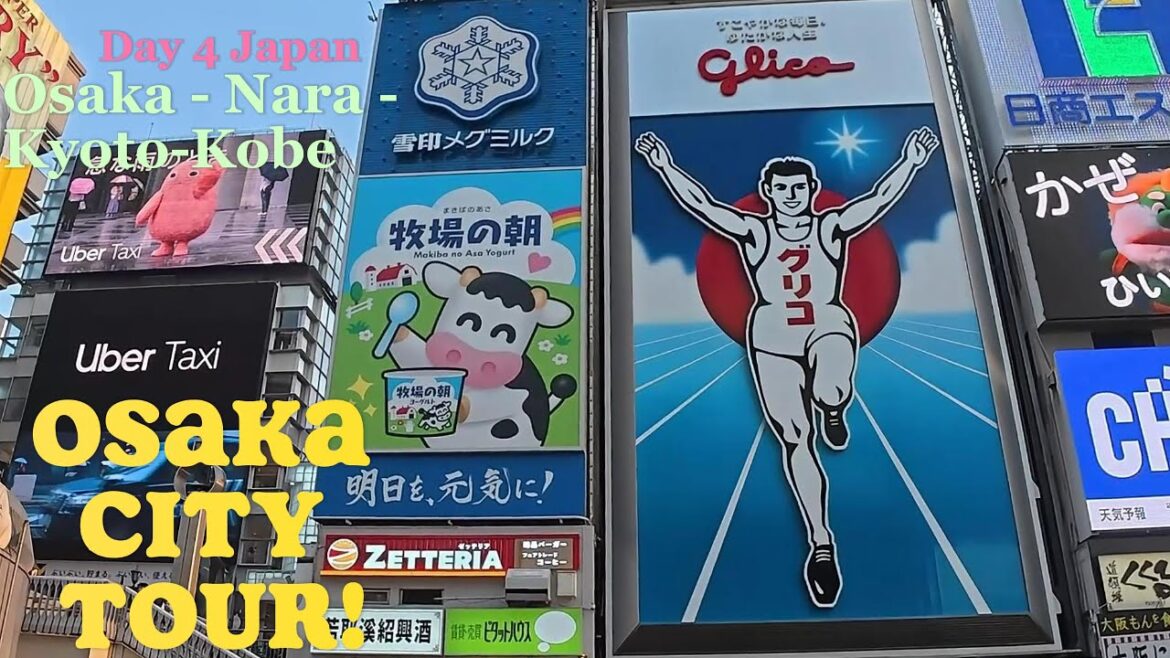 Day 4 Osaka Travel Guide | Umeda Shopping Spree & Namba Hotspots 大阪旅游攻略 | 梅田购物狂欢 & 难波热门打卡地 Day 4 Osaka Travel Guide | Umeda Shopping Spree & Namba Hotspots 大阪旅游攻略 | 梅田购物狂欢 & 难波热门打卡地