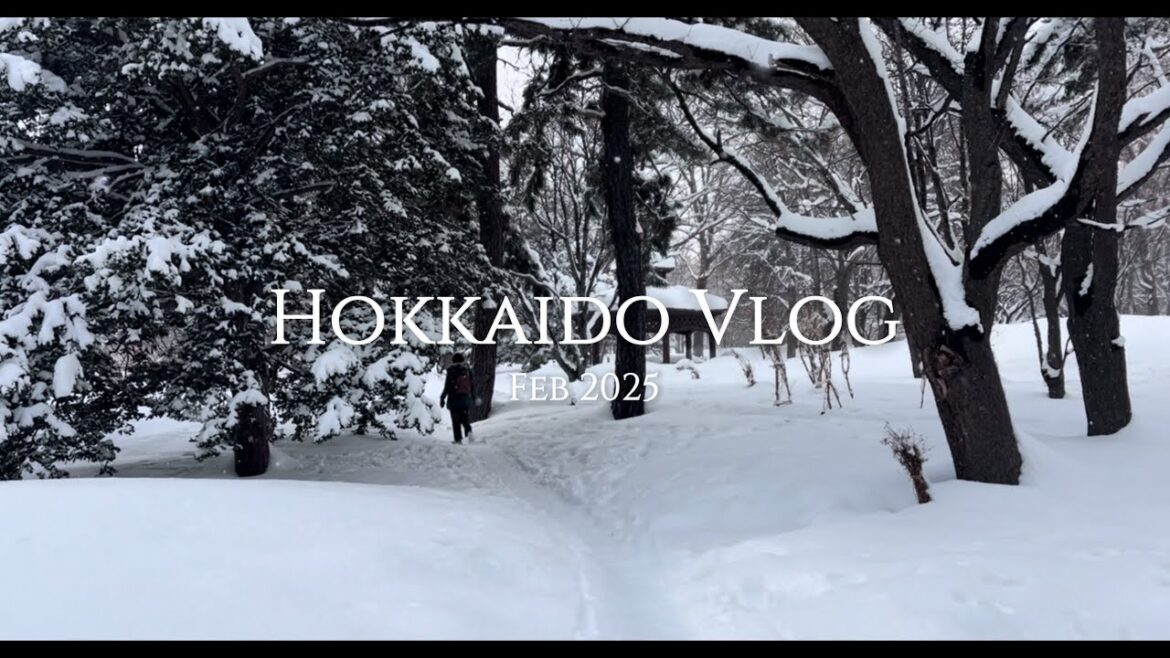 hokkaido vlog