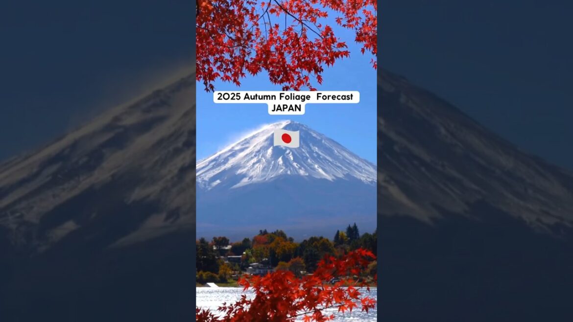 Japan Foliage Forecast 2025 l Autumn in Japan l Travel Guide