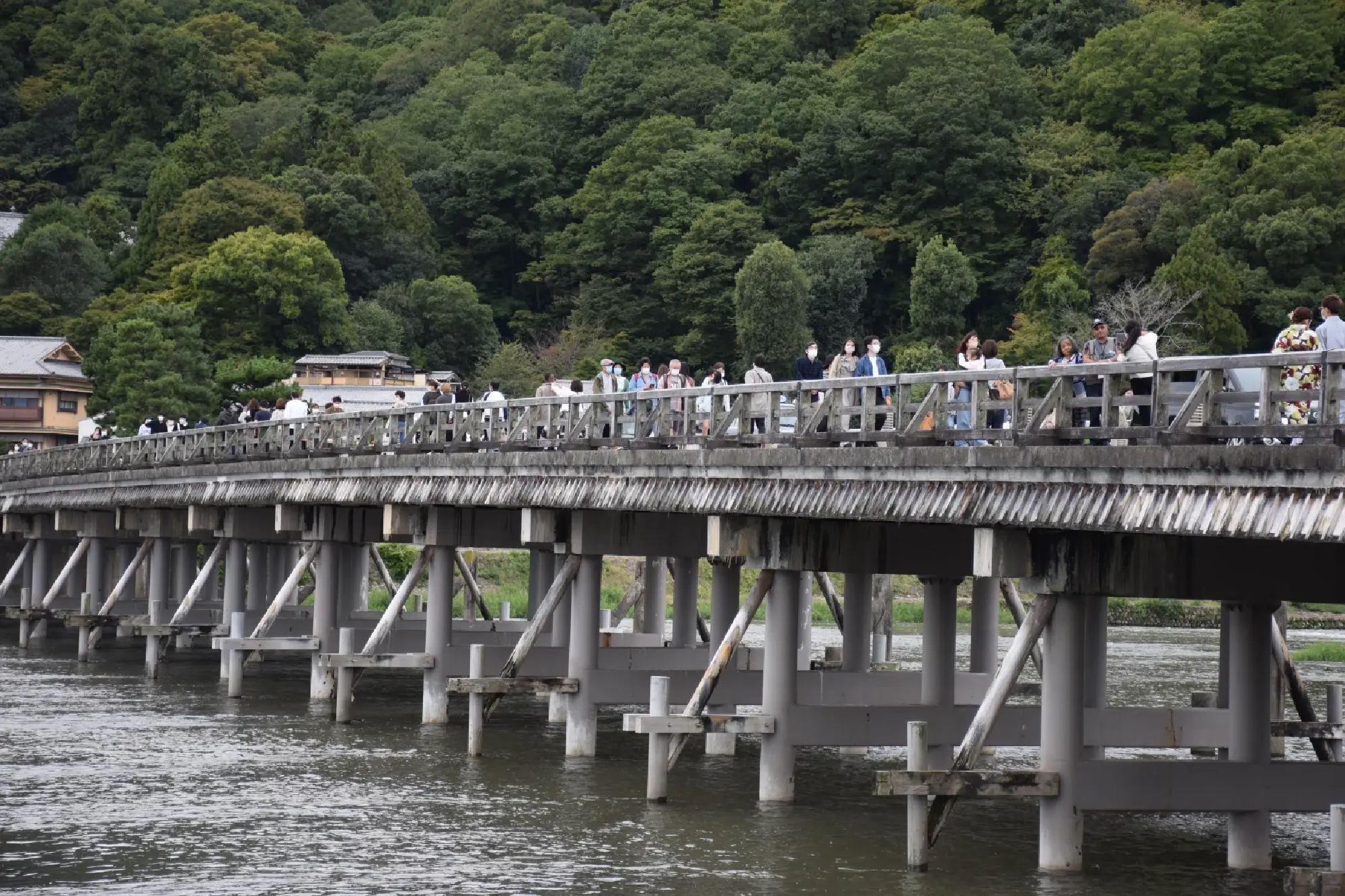 Take On a Marathon and Enjoy Winter in Kyoto 