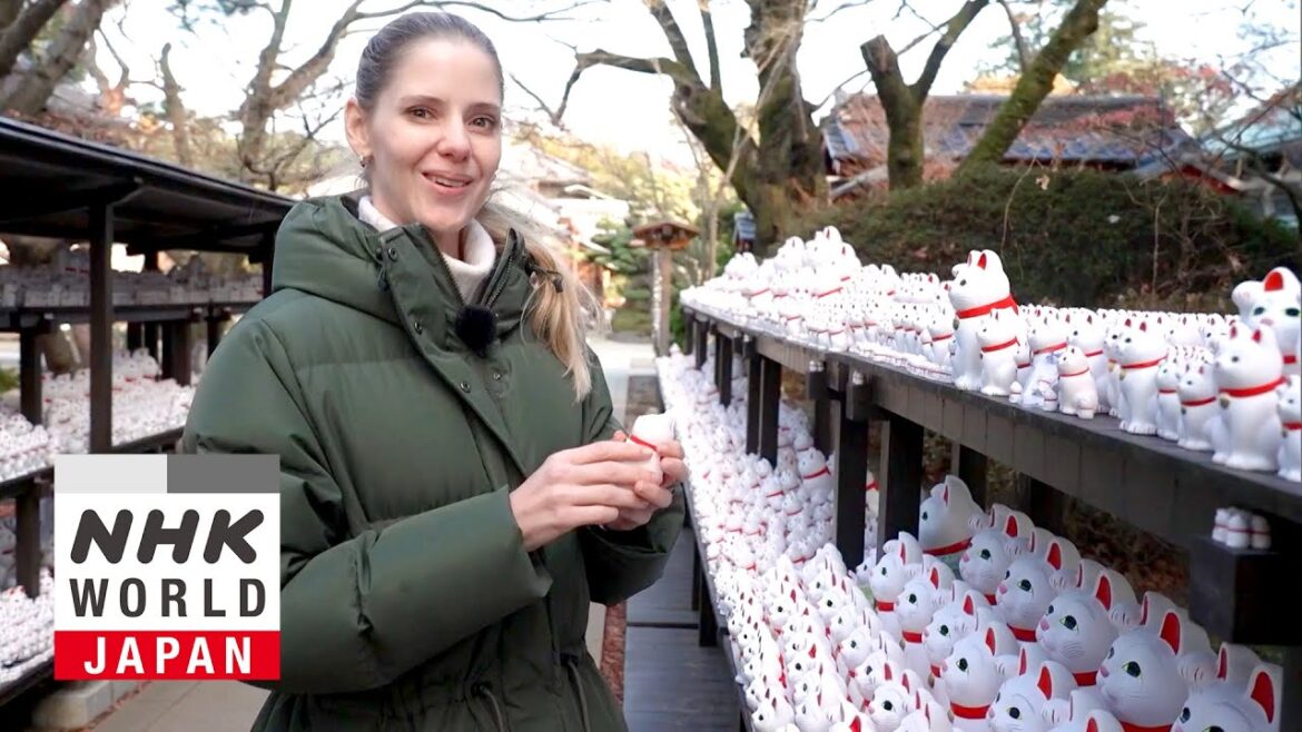 Along the Setagaya Line: A Taste of the Slow Life - Dive in Tokyo