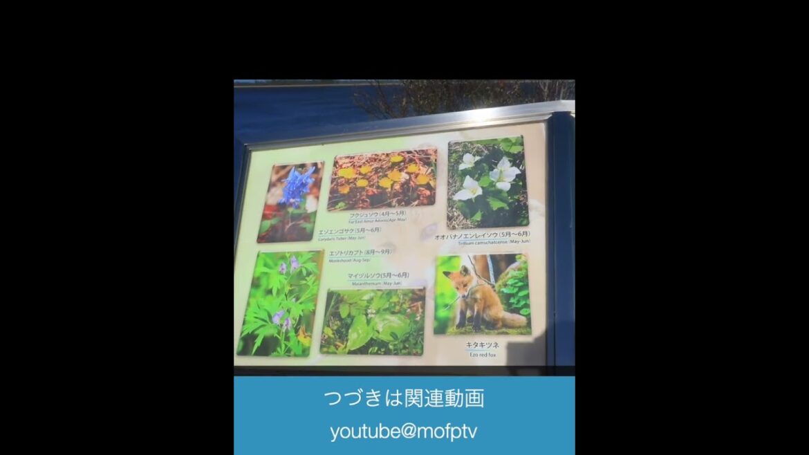 2022秋【北海道1周5100km】Day10 最東端巡り(2) 道の駅