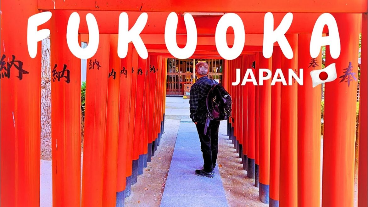 Morning Walk in Fukuoka, Japan ๐ฏ๐ต I Sakura, Shrines & Serene Streets Morning Walk in Fukuoka, Japan ๐ฏ๐ต I Sakura, Shrines & Serene Streets