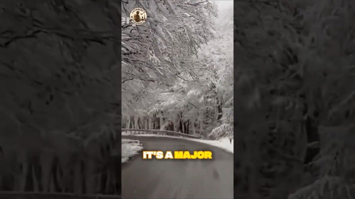 Unbelievable Things You Didn’t Know About Hokkaido Japan  #travelvideo #facts #japan Unbelievable Things You Didn’t Know About Hokkaido Japan  #travelvideo #facts #japan