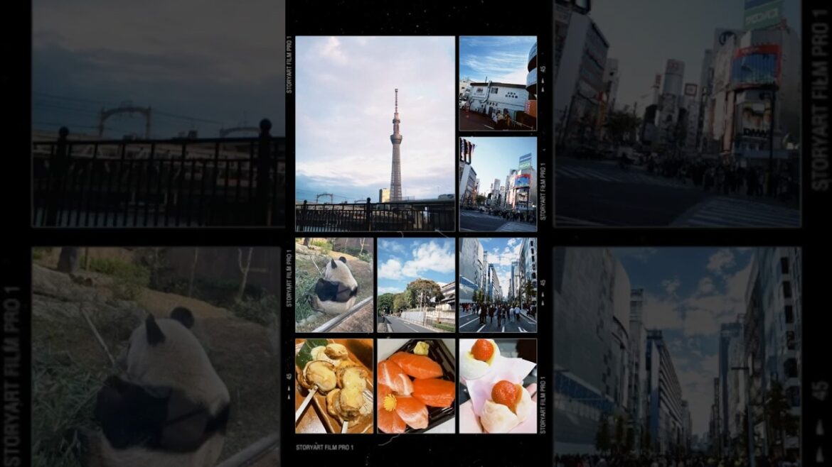 2024/11/06~10 東京旅行碎片🧩 #travel #tokyo #東京 #旅行