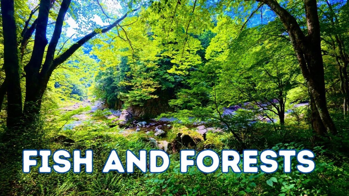 加計と三段峡 Kake and Sandankyo