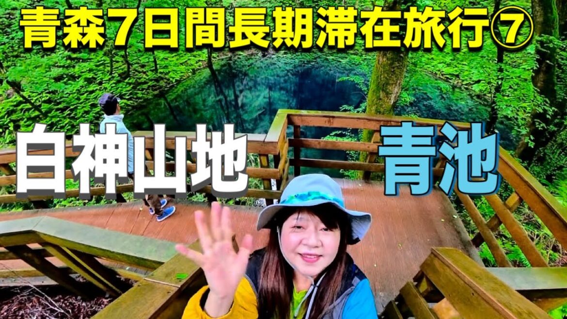 世界遺産 白神山地 青池見て、ブナ自然林の中を歩き五能線乗車