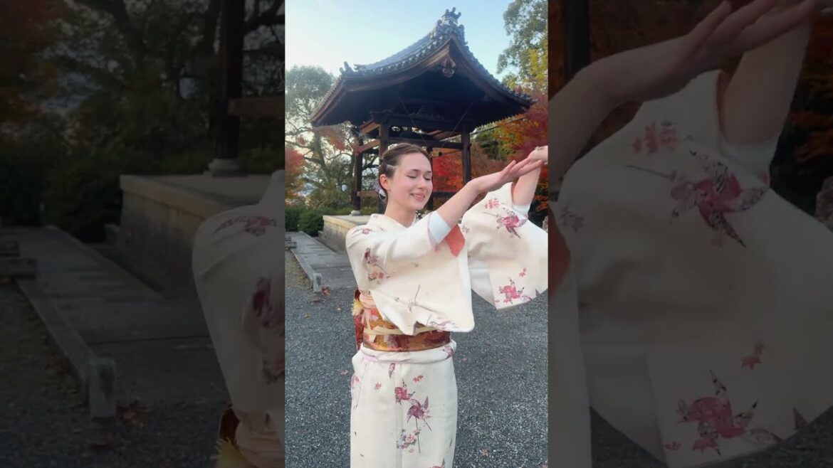 Kyoto kimono rental mimosa Kodaiji store #kyototrip #kimono #kimonorental #kimonostyle #kyoto Kyoto kimono rental mimosa Kodaiji store #kyototrip #kimono #kimonorental #kimonostyle #kyoto