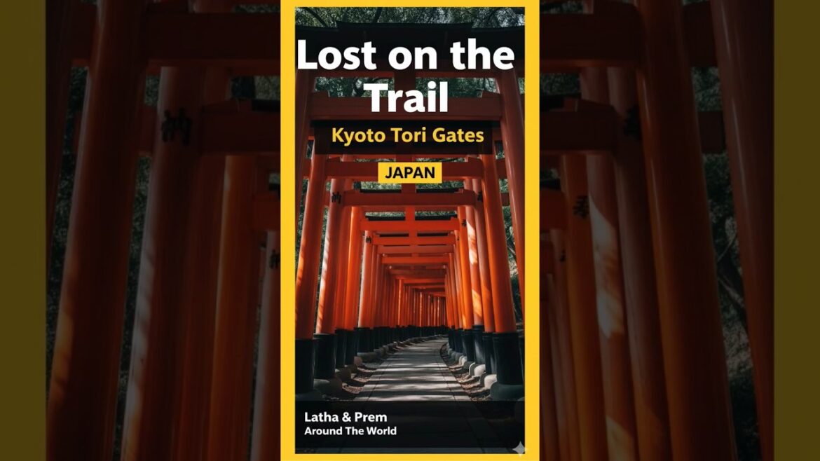 Lost on the Trail | Kyoto Tori Gates | JAPAN #shorts #ytshorts Lost on the Trail | Kyoto Tori Gates | JAPAN #shorts #ytshorts