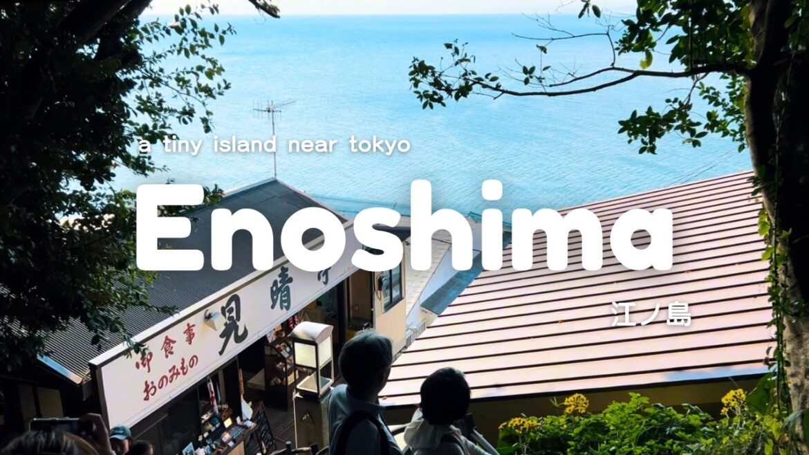 Day Trip from Tokyo | Enoshima One Day Itinerary | Japan Travel Vlog 🇯🇵