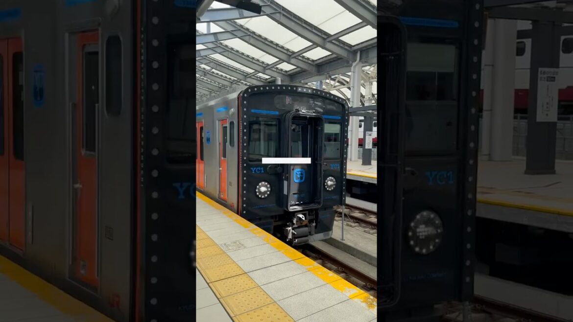 First week in Japan as a 2025 JET ALT #vlog #japan #travel #jet #alt #2025