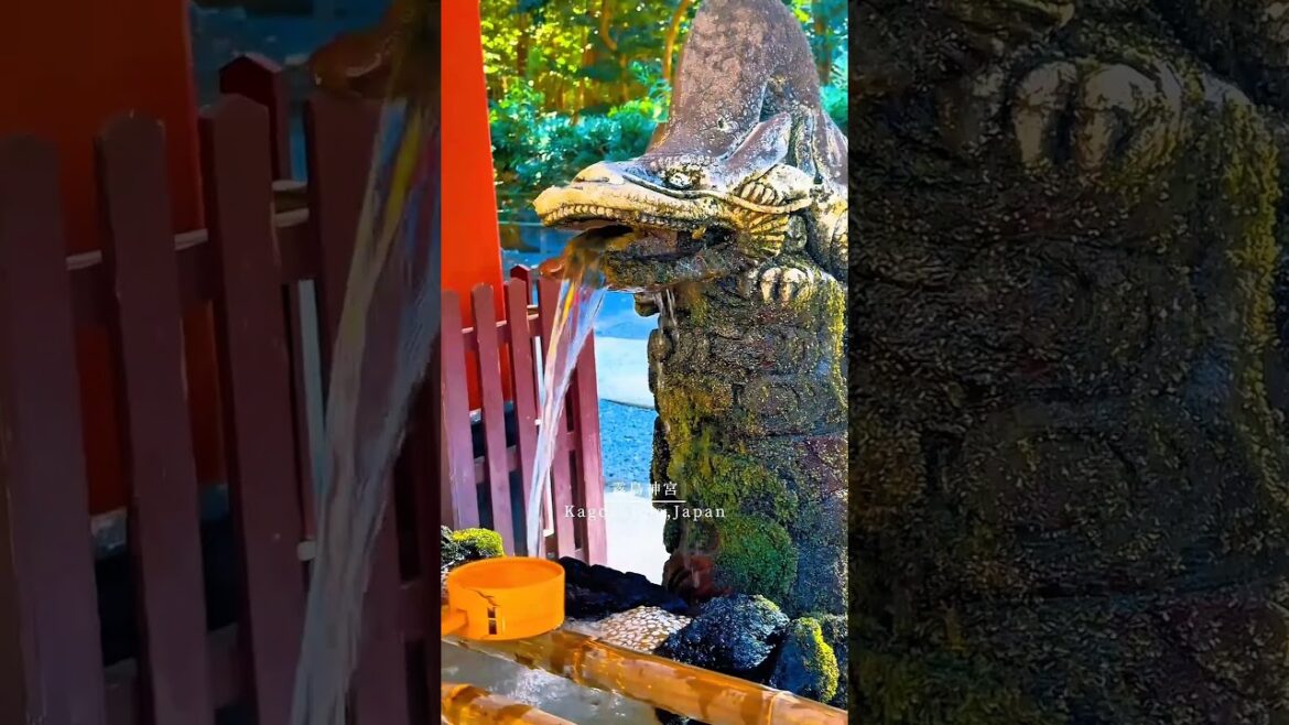 kagoshima japan 📍⛩️#favourite #foryou #fypシ゚ #kagoshima #japan 🇯🇵