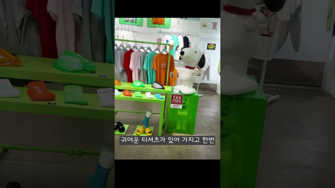 #일본 #오키나와 #다운타운 #국제거리 #오키나와여행 #오키나와해변 #오키나와쇼핑 #오키나와바다 #오키나와맛집 #오키나와호텔 #오키나와도미토리 #오키나와게스트하우스