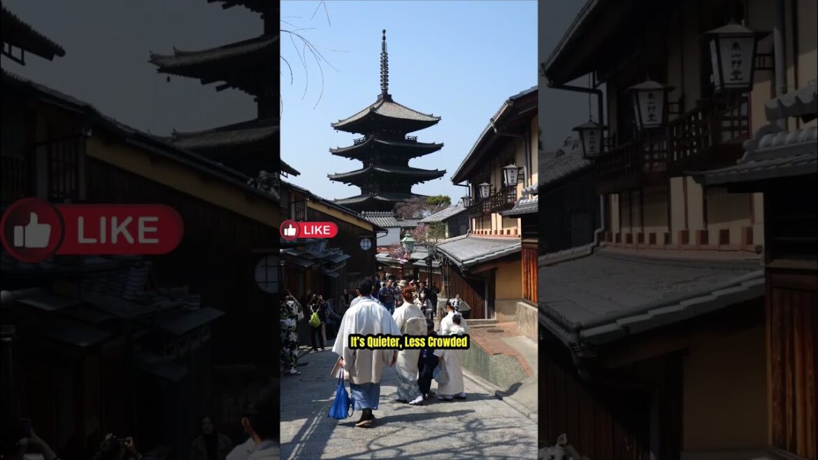Kyoto’s Secret Autumn Temple 🇯🇵🍂📍Eikando TempleMaples #travel #travel #japan #kyoto #kyototrip Kyoto’s Secret Autumn Temple 🇯🇵🍂📍Eikando TempleMaples #travel #travel #japan #kyoto #kyototrip