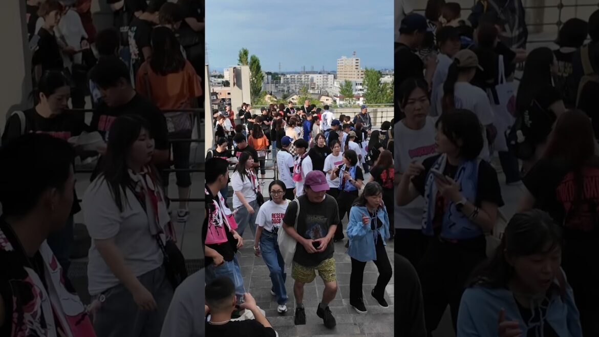 ONE OK ROCK DETOX JAPAN TOUR 2025🇯🇵 in 札幌